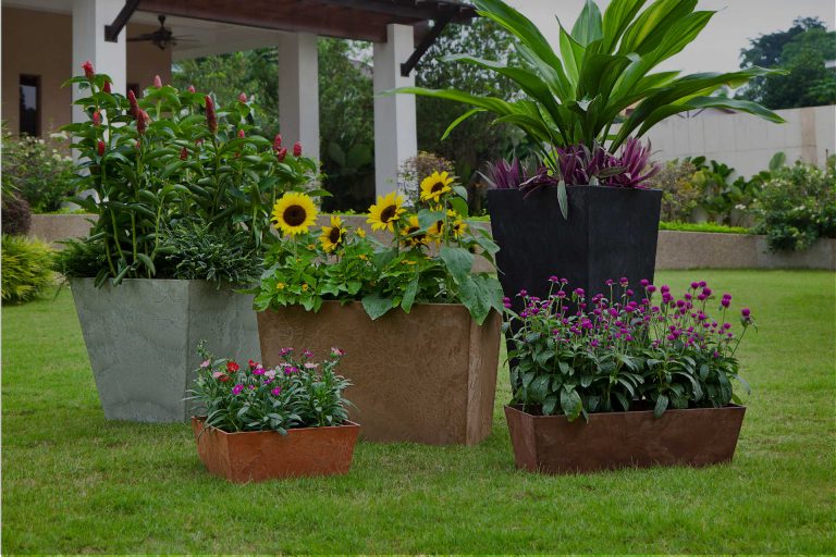 Where to Buy Jardin Craft